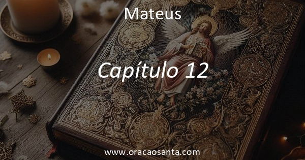 Mateus 12