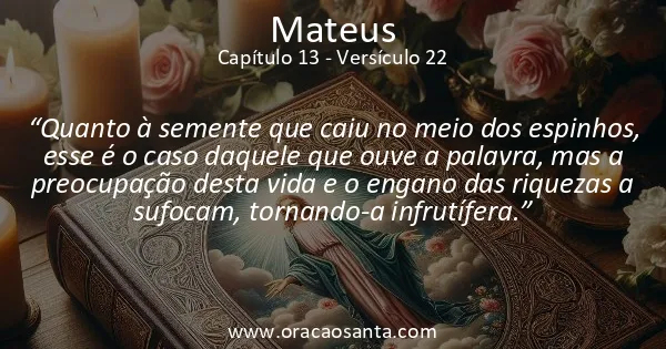 Mateus 13:22