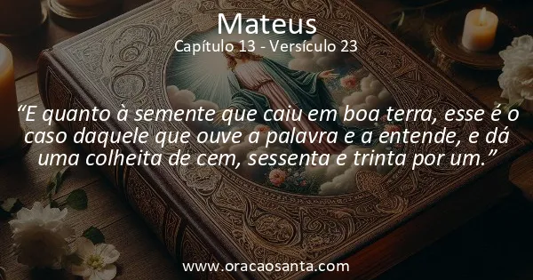 Mateus 13:23