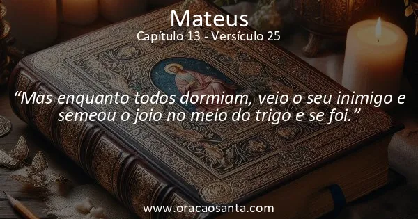 Mateus 13:25