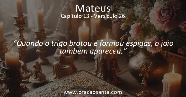 Mateus 13:26