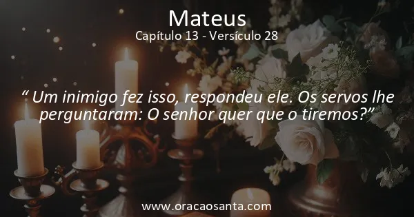 Mateus 13:28