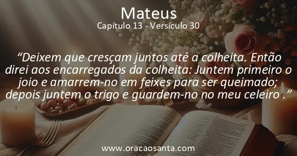 Mateus 13:30