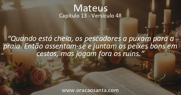 Mateus 13:48