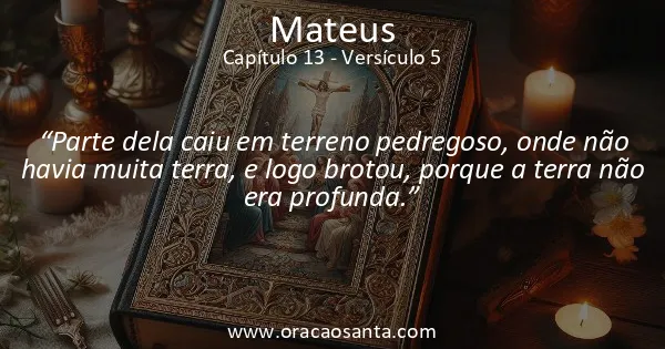 Mateus 13:5