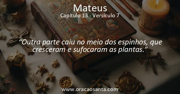Mateus 13:7