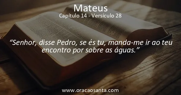 Mateus 14:28
