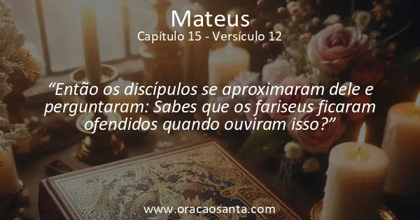 Mateus 15:12