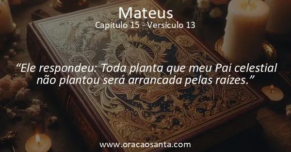Mateus 15:13