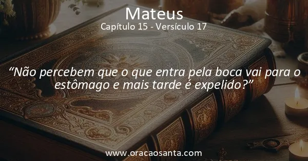Mateus 15:17