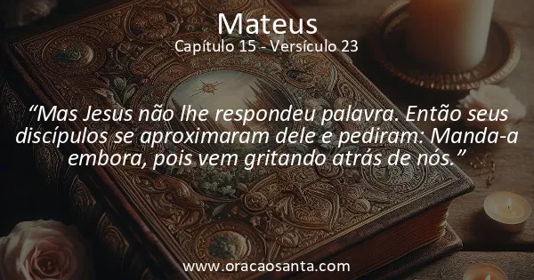 Mateus 15:23