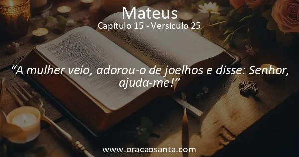 Mateus 15:25