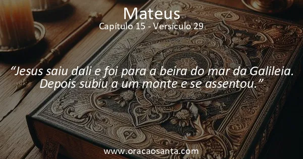 Mateus 15:29