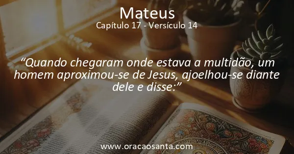 Mateus 17:14