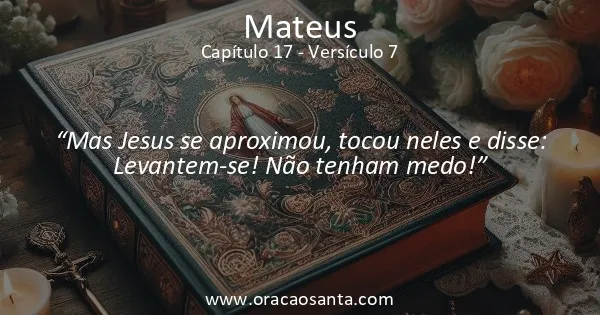 Mateus 17:7