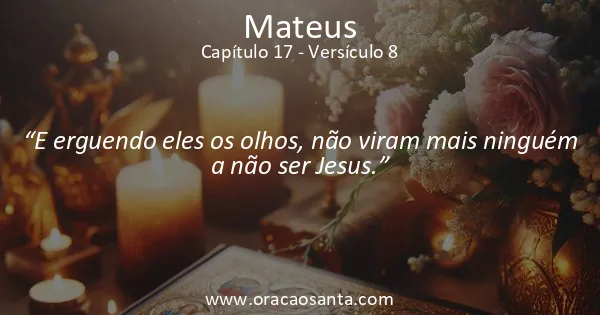 Mateus 17:8