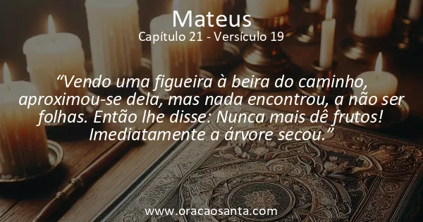 Mateus 21:19