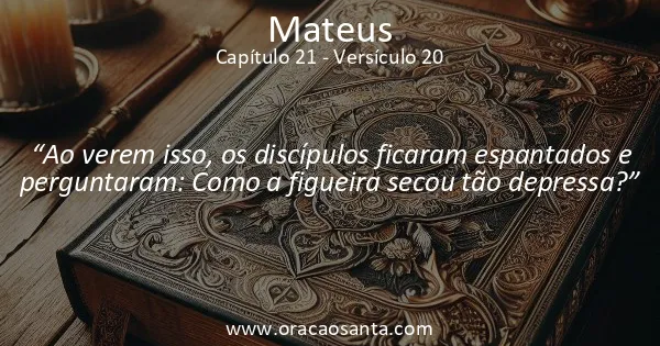 Mateus 21:20