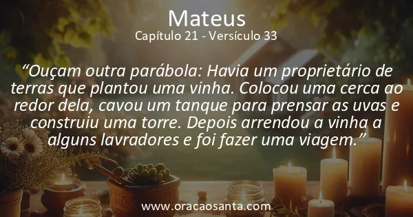 Mateus 21:33