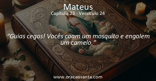 Mateus 23:24