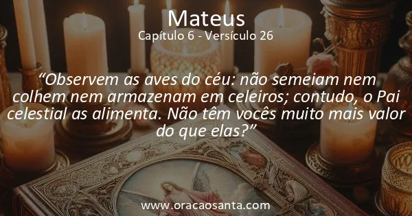 Mateus 6:26