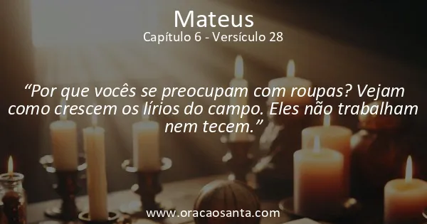 Mateus 6:28