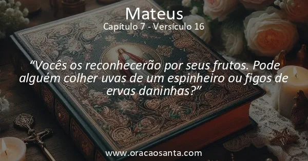 Mateus 7:16