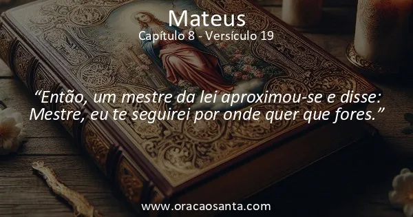 Mateus 8:19