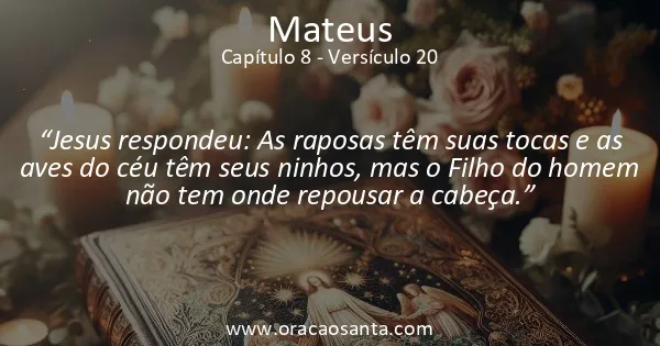 Mateus 8:20