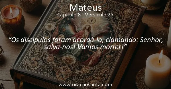 Mateus 8:25