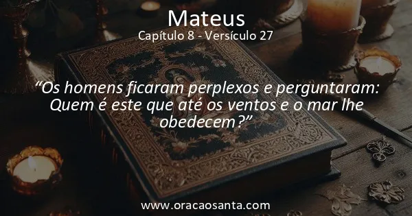 Mateus 8:27