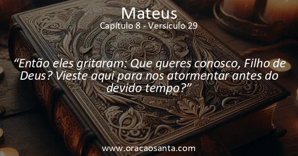 Mateus 8:29