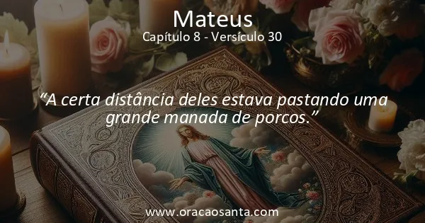 Mateus 8:30