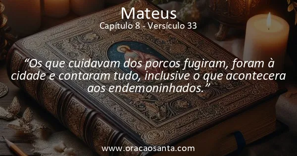 Mateus 8:33