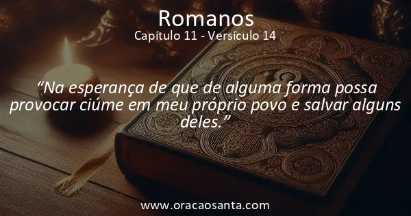Romanos 11:14