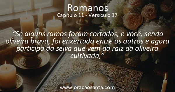 Romanos 11:17