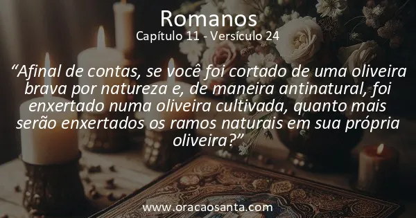 Romanos 11:24