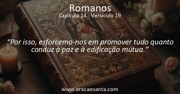 Romanos 14:19