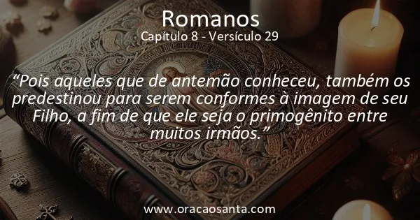 Romanos 8:29