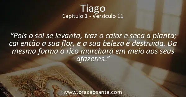Tiago 1:11