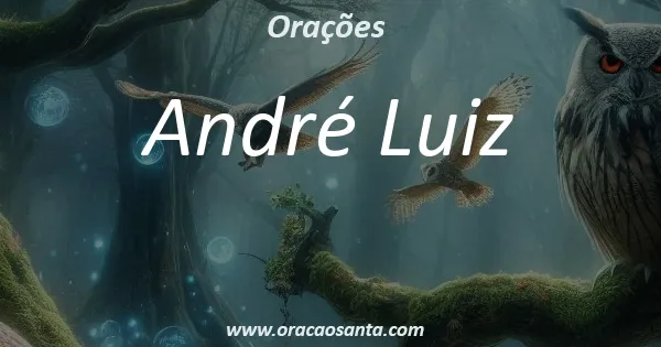 André Luiz