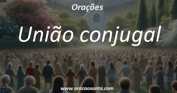 União conjugal